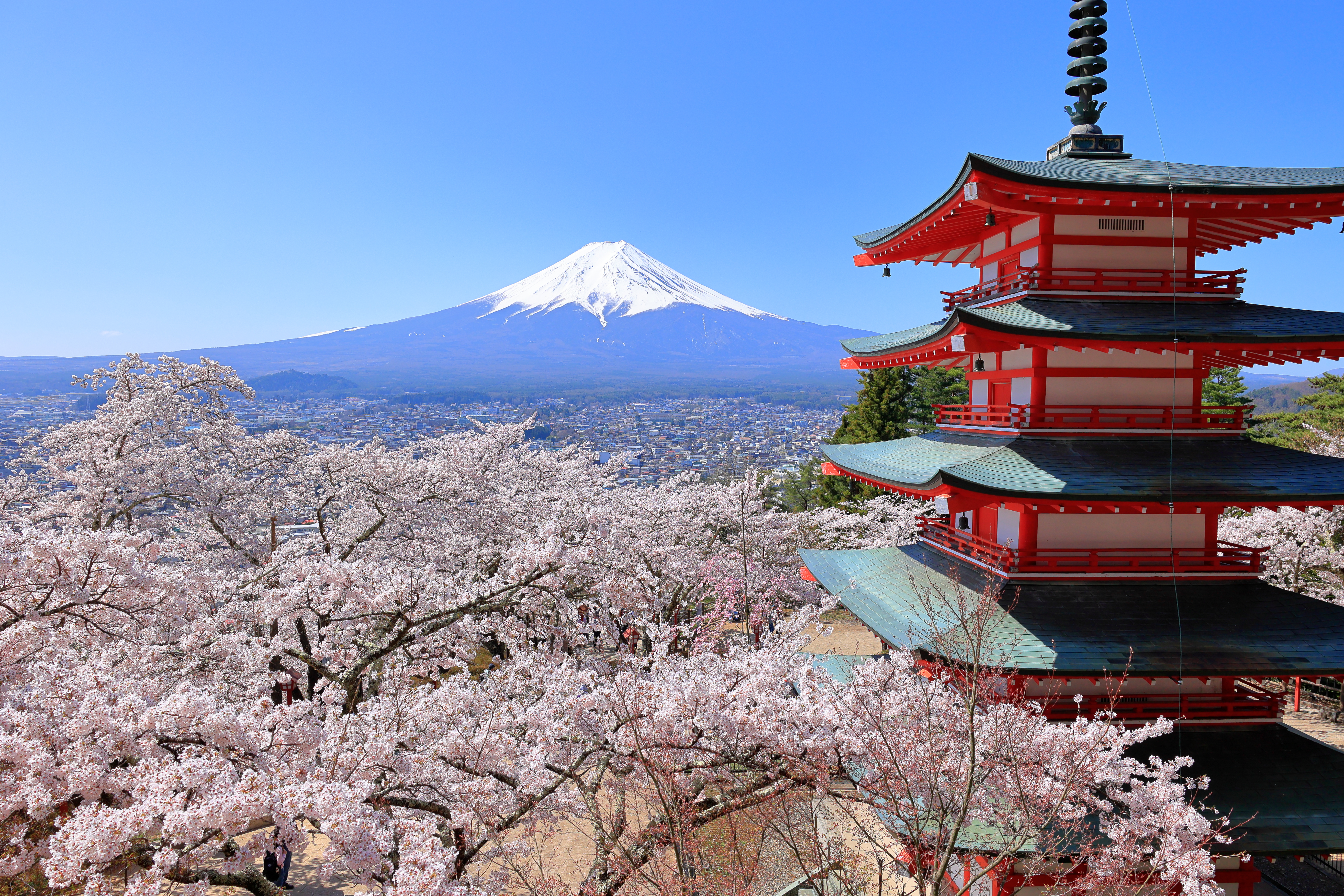 ふるさと納税 富士山の広大な自然を活用した「Happy Anniversary」フォト 山梨県富士吉田市 自然と文化が織りなす富士吉田市。富士山と共に歩む地域活性化