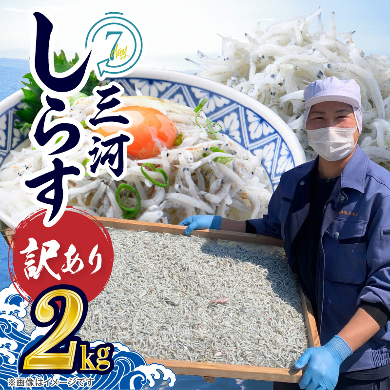 訳あり モリモリ2kg！バラエティ豊富な三河しらす～海の仲間たち～　H018-040