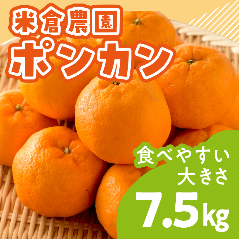 ポンカン 7.5キロ《先行予約2027年1月中旬頃より順次発送予定》