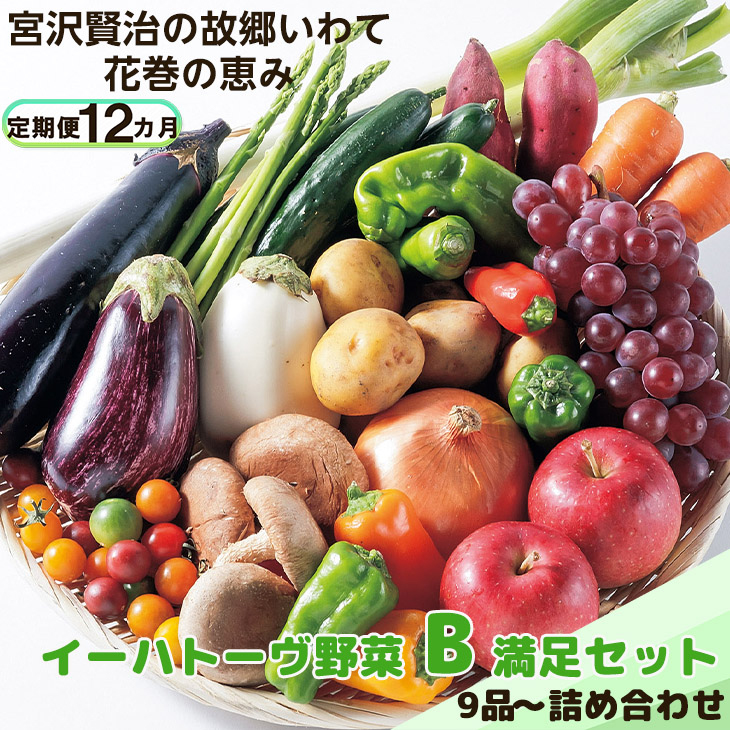 【定期便12ヶ月】イーハトーヴ野菜B 満足セット 9品～ 詰め合わせ