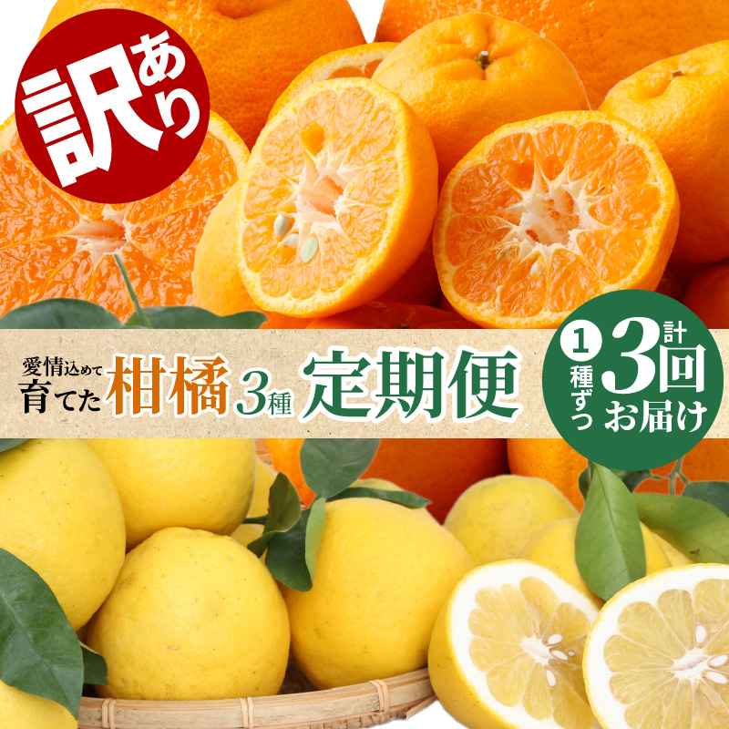 S040-014_【訳あり 定期便3回】天草 下浦地区の農家が愛情込めて育てた 柑橘3種