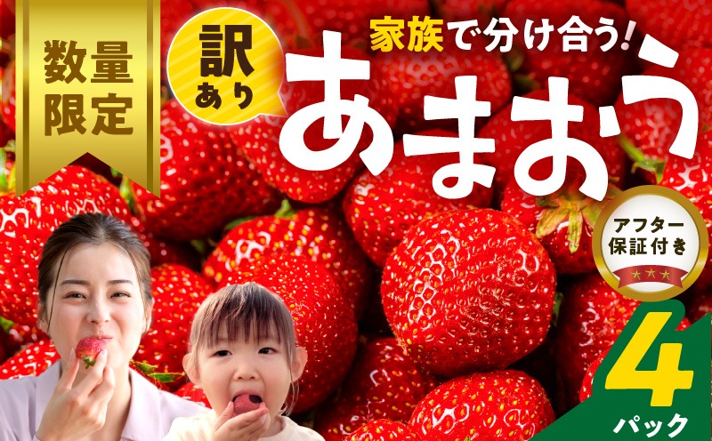 【数量限定】【訳あり】ファミリー向け あまおう約270g×4パック_Fi072